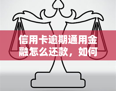 信用卡逾期通用金融怎么还款，如何还款信用卡逾期通用金融？全面指南