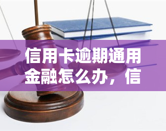 信用卡逾期通用金融怎么办，信用卡逾期：通用金融解决方案大揭秘