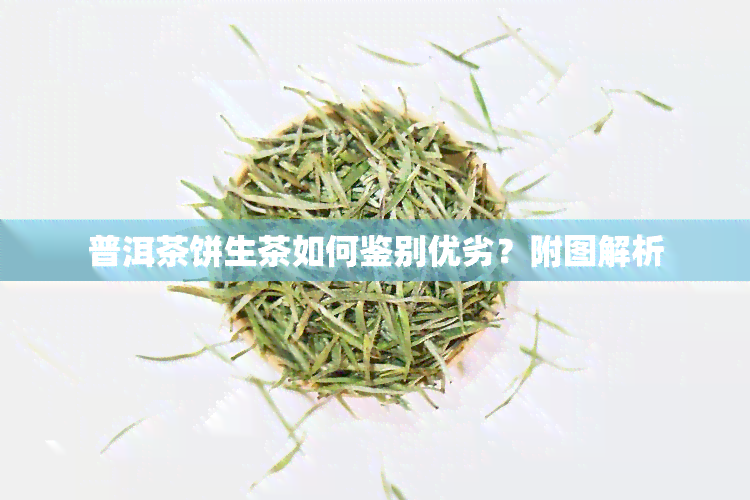 普洱茶饼生茶如何鉴别优劣？附图解析