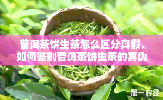 普洱茶饼生茶怎么区分真假，如何鉴别普洱茶饼生茶的真伪？