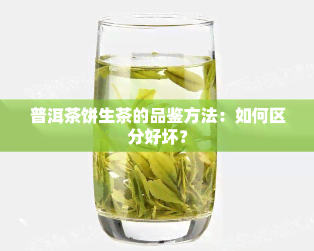 普洱茶饼生茶的品鉴方法：如何区分好坏？