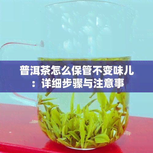 普洱茶怎么保管不变味儿：详细步骤与注意事