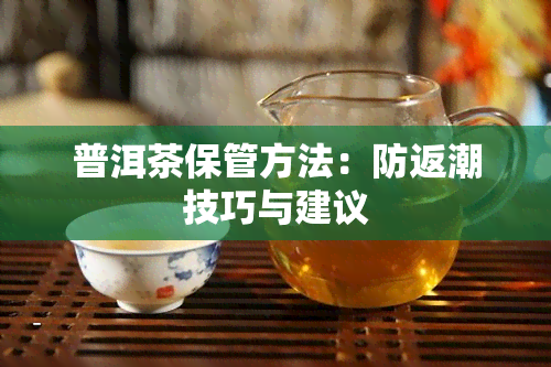 普洱茶保管方法：防返潮技巧与建议