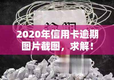 2020年信用卡逾期图片截图，求解！