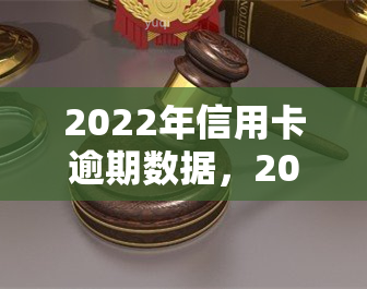 2022年信用卡逾期数据，2022信用卡逾期数据：揭示行业趋势与风险点