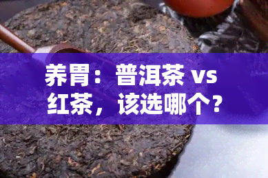 养胃：普洱茶 vs 红茶，该选哪个？