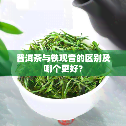 普洱茶与铁观音的区别及哪个更好？