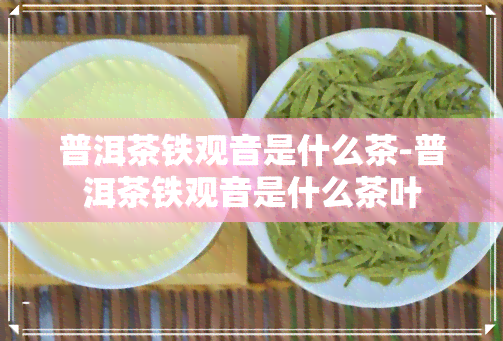 普洱茶铁观音是什么茶-普洱茶铁观音是什么茶叶