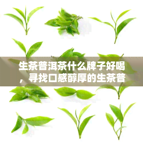 生茶普洱茶什么牌子好喝，寻找口感醇厚的生茶普洱茶？ 推荐几款好喝的！