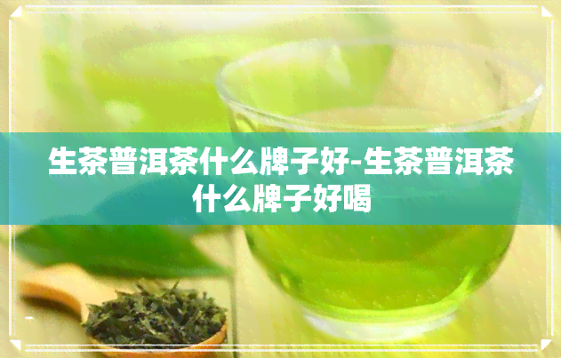 生茶普洱茶什么牌子好-生茶普洱茶什么牌子好喝