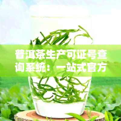 普洱茶生产可证号查询系统：一站式官方查询平台