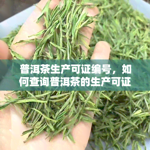 普洱茶生产可证编号，如何查询普洱茶的生产可证编号？