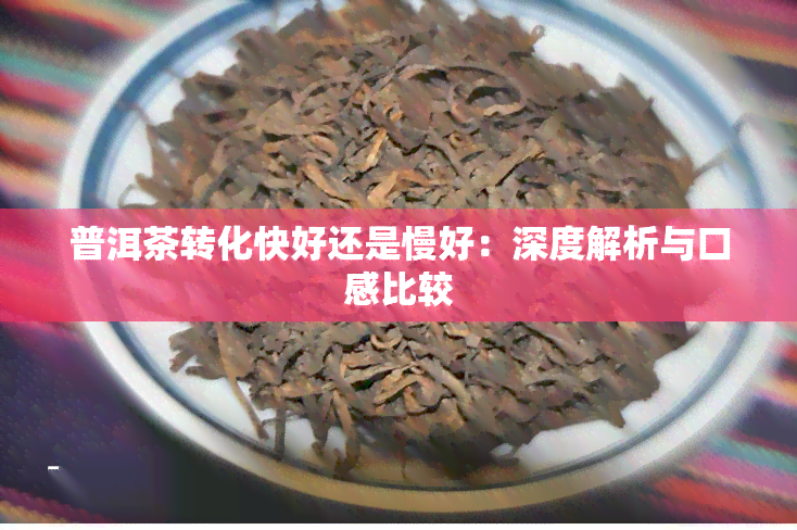 普洱茶转化快好还是慢好：深度解析与口感比较