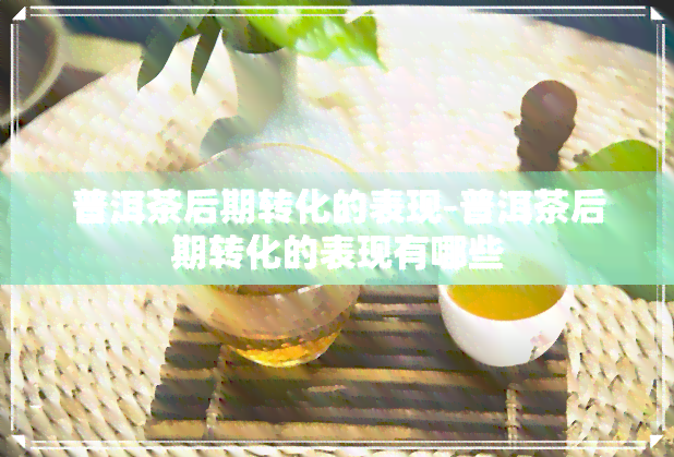 普洱茶后期转化的表现-普洱茶后期转化的表现有哪些