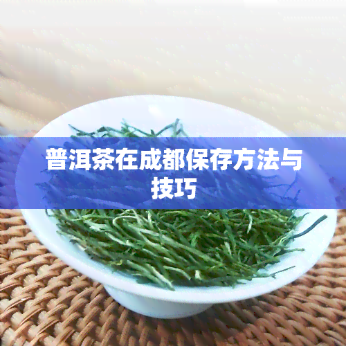 普洱茶在成都保存方法与技巧