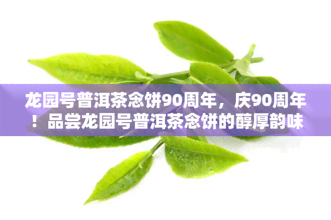 龙园号普洱茶念饼90周年，庆90周年！品尝龙园号普洱茶念饼的醇厚韵味