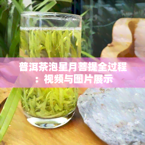 普洱茶泡星月菩提全过程：视频与图片展示