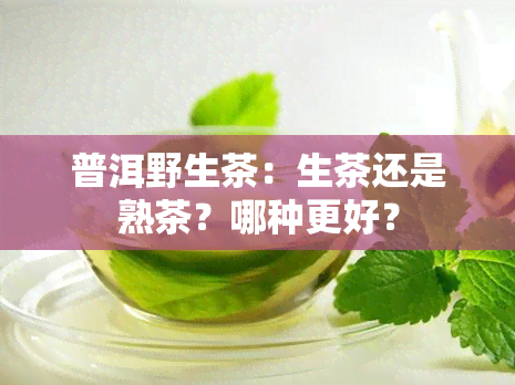 普洱野生茶：生茶还是熟茶？哪种更好？