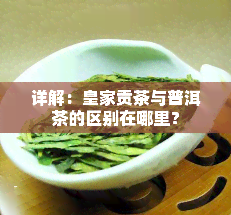 详解：皇家贡茶与普洱茶的区别在哪里？