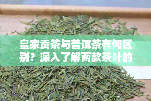 皇家贡茶与普洱茶有何区别？深入了解两款茶叶的不同之处！