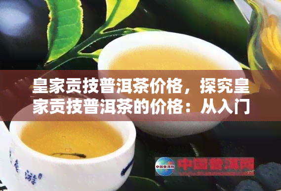 皇家贡技普洱茶价格，探究皇家贡技普洱茶的价格：从入门到高端的全面解析