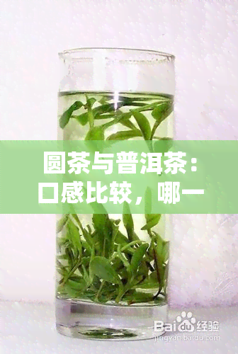 圆茶与普洱茶：口感比较，哪一种更好喝？