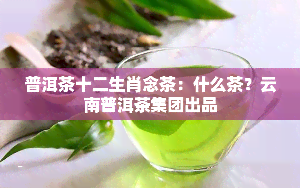 普洱茶十二生肖念茶：什么茶？云南普洱茶集团出品