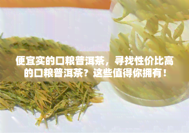 便宜实的口粮普洱茶，寻找性价比高的口粮普洱茶？这些值得你拥有！