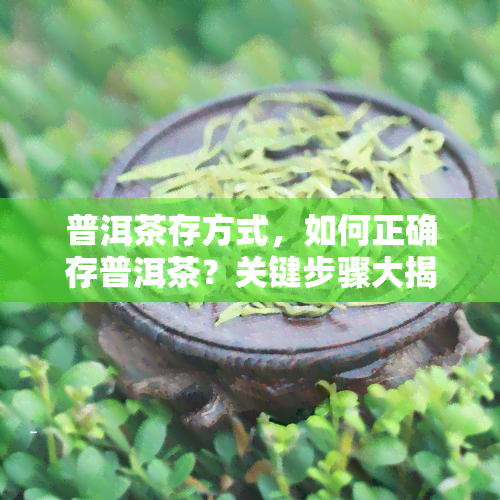 普洱茶存方式，如何正确存普洱茶？关键步骤大揭秘！