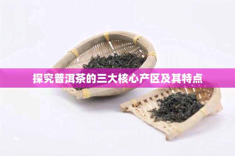 探究普洱茶的三大核心产区及其特点