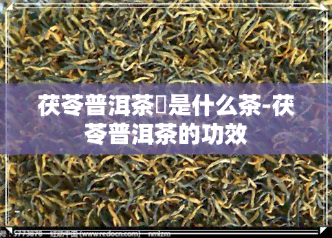 茯苓普洱茶鉼是什么茶-茯苓普洱茶的功效