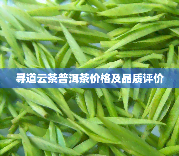 寻道云茶普洱茶价格及品质评价