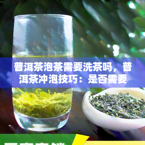 普洱茶泡茶需要洗茶吗，普洱茶冲泡技巧：是否需要进行洗茶步骤？