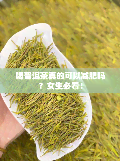 喝普洱茶真的可以减肥吗？女生必看！