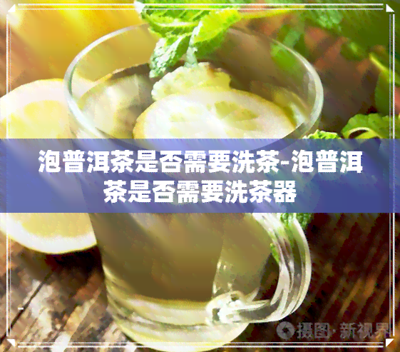 泡普洱茶是否需要洗茶-泡普洱茶是否需要洗茶器