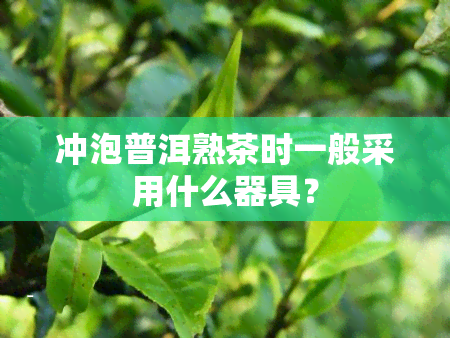 冲泡普洱熟茶时一般采用什么器具？