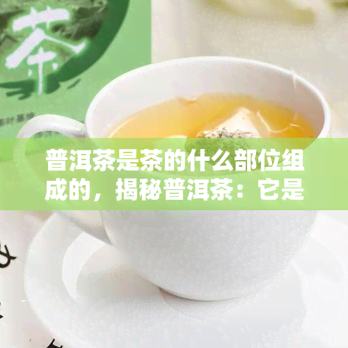 普洱茶是茶的什么部位组成的，揭秘普洱茶：它是由哪些茶叶部位组成的？