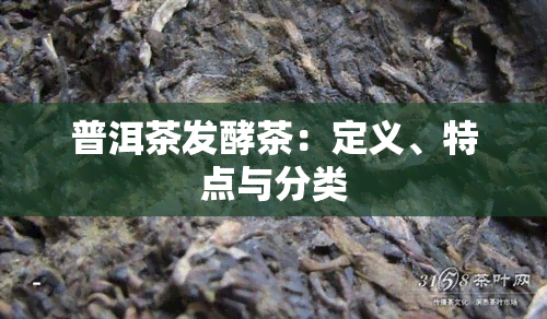 普洱茶发酵茶：定义、特点与分类