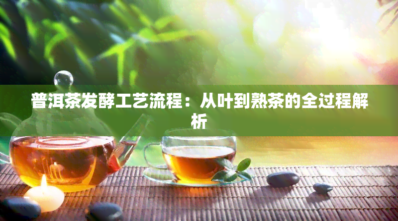 普洱茶发酵工艺流程：从叶到熟茶的全过程解析