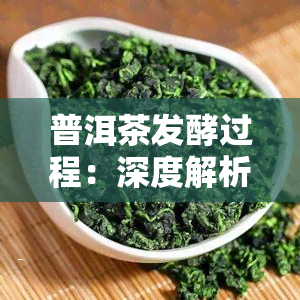 普洱茶发酵过程：深度解析与时间长短