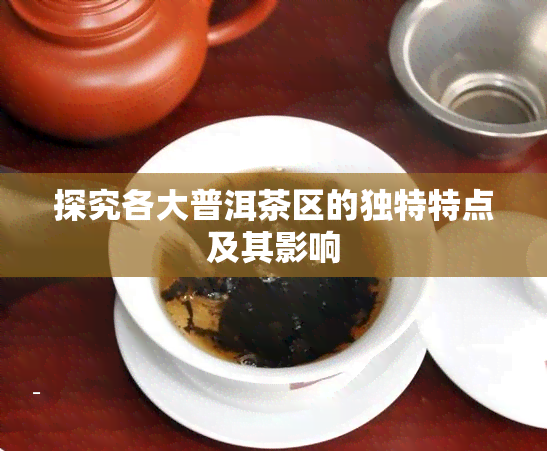 探究各大普洱茶区的独特特点及其影响