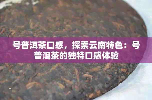 号普洱茶口感，探索云南特色：号普洱茶的独特口感体验