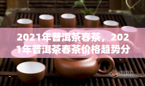 2021年普洱茶春茶，2021年普洱茶春茶价格趋势分析与预测