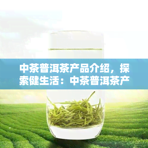 中茶普洱茶产品介绍，探索健生活：中茶普洱茶产品详细介绍