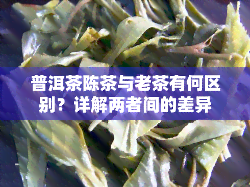 普洱茶陈茶与老茶有何区别？详解两者间的差异