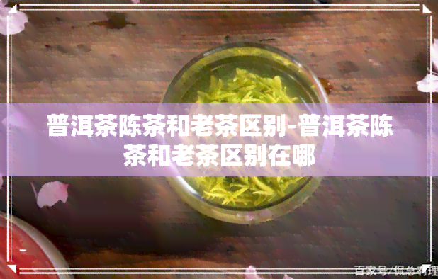 普洱茶陈茶和老茶区别-普洱茶陈茶和老茶区别在哪