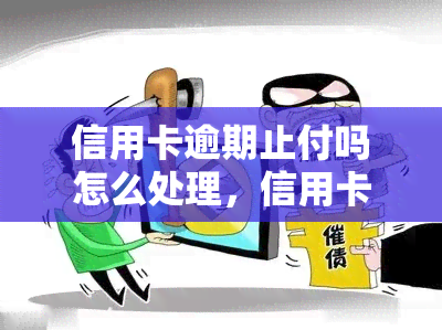 信用卡逾期止付吗怎么处理，信用卡逾期止付怎么办？教你正确处理方法