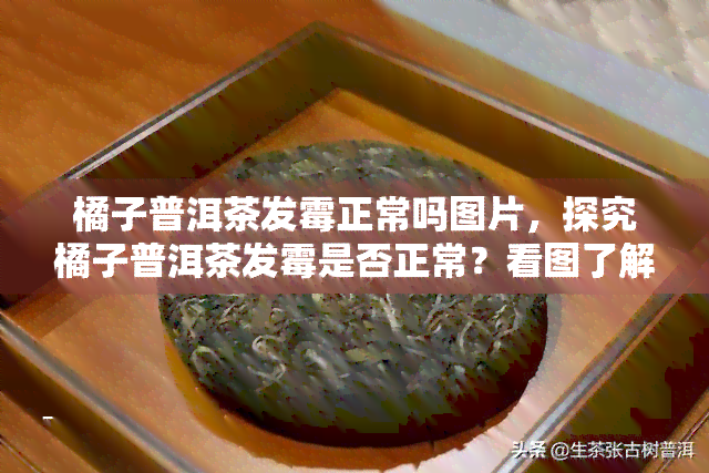 橘子普洱茶发霉正常吗图片，探究橘子普洱茶发霉是否正常？看图了解！