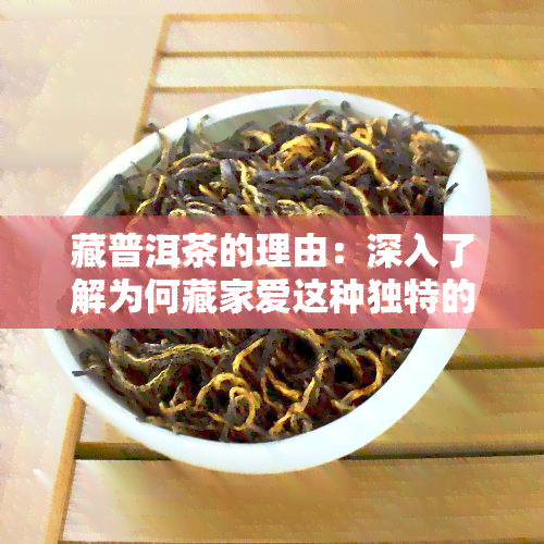 藏普洱茶的理由：深入了解为何藏家爱这种独特的茶叶