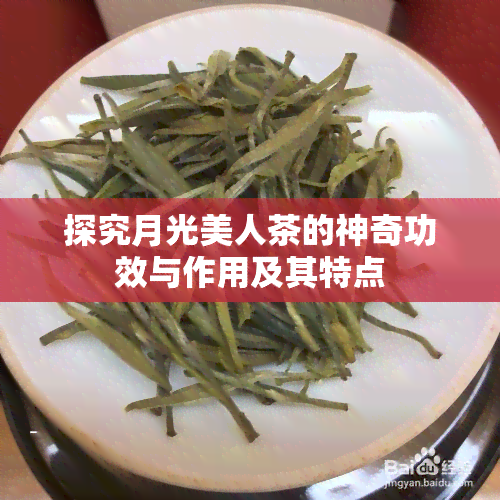 探究月光美人茶的神奇功效与作用及其特点